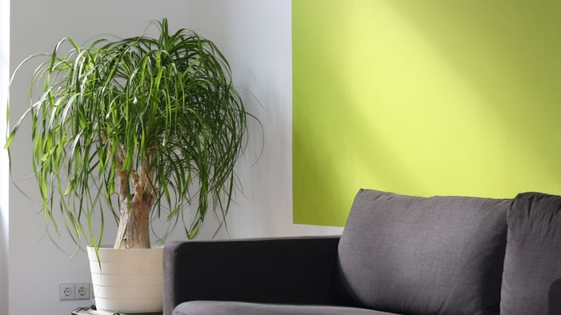 Мультисплит-системы на 2 комнаты: комфорт и здоровье для детей